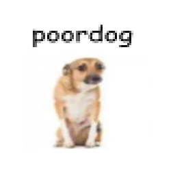 poordog / SOL