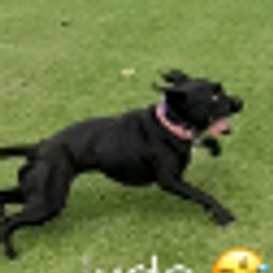 JUDE