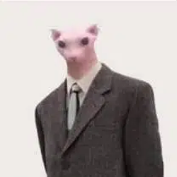 Bingus