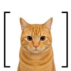 [cat] / USDG