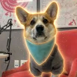 Corgington
