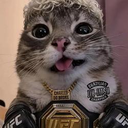 CharlesCat