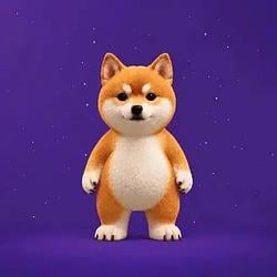 BELLY