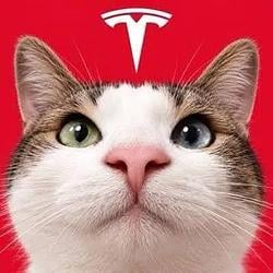 TCAT