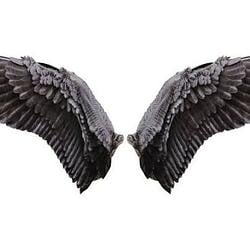 Wing / SOL