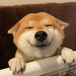 HAPY