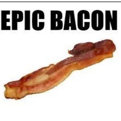 BACON / SOL