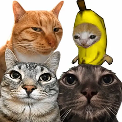 猫咪梗图 / SOL