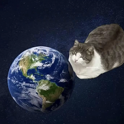 SushiCat