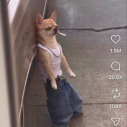 CHICO