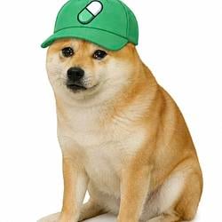 PUMPDOG / SOL