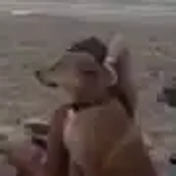 JEWINU