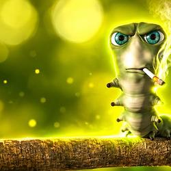 CATERPILLAR