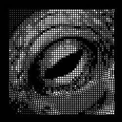 OCTO