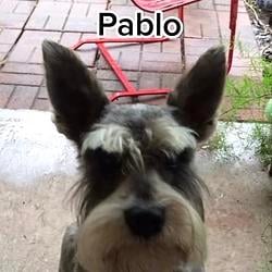 PAB