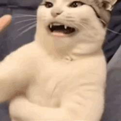FARTCAT