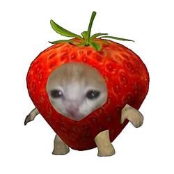 Test / SOL