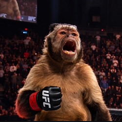 Ape