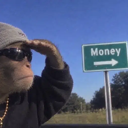 MONEY