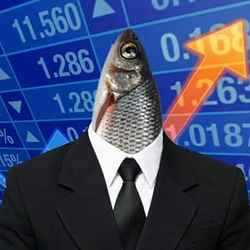Fi