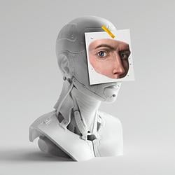 HUMAN / SOL