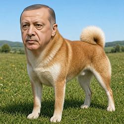 Erdog