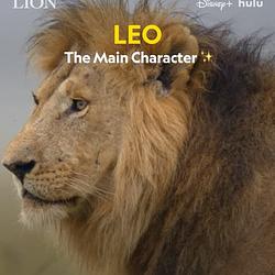 LEO