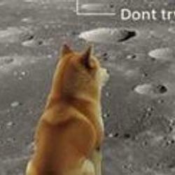 moondoge
