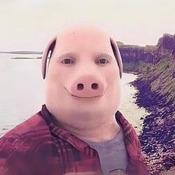 PORK