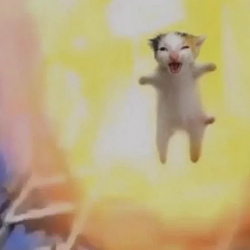 Ecat
