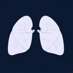 Lungcoin