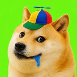 dumbdog / SOL