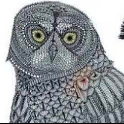 OWLAI