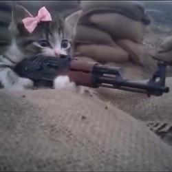 ACAT-47