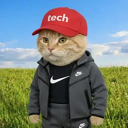 techcat / SOL