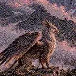 Griffin