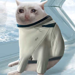CASHCAT / WETH
