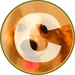 CORGI