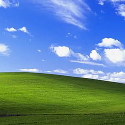 bliss