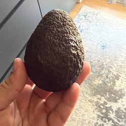 AVOCADO