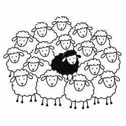 BLACKSHEEP