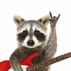 RUCKOON