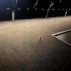 AMC