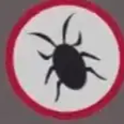 X PEST