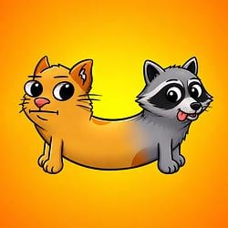 JIMOTHYCAT / SOL