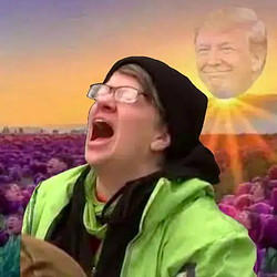 11 / SOL