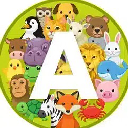 Animals