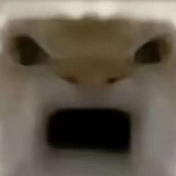我是爷们