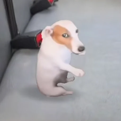 NEWGUY