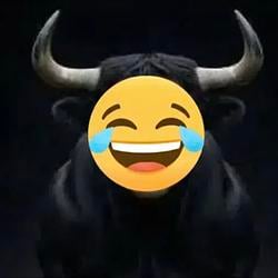 ReBull